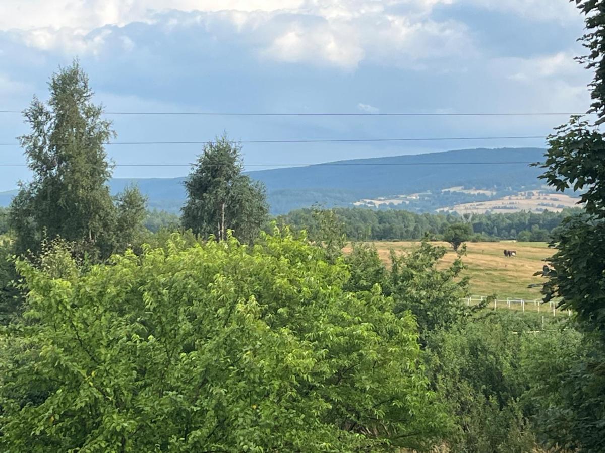 Polana Gorska Mirsk Apartment ภายนอก รูปภาพ